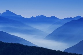 世界游泳线上教学平台学员成长案例征集活动启动，世界游泳比赛视频央视网