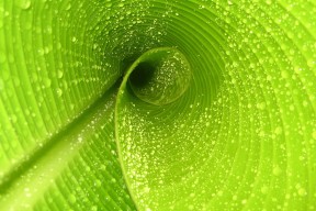 世界攀岩场馆公益课程学校合作协议样本发布，攀岩运动馆